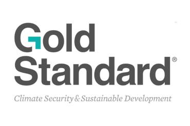 Logo Gold Standard