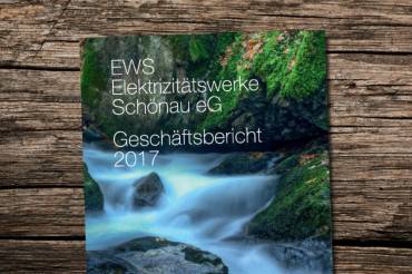 Abbildung Geschäftsbericht 2017
