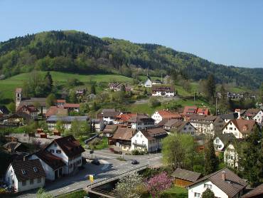 Blick auf Tegernau