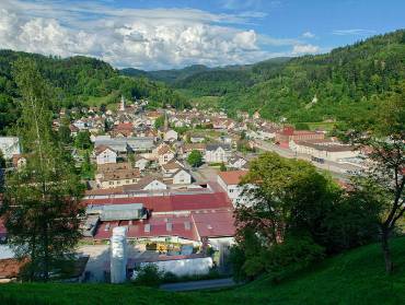 Blick auf die Stadt Zell im Wiesental
