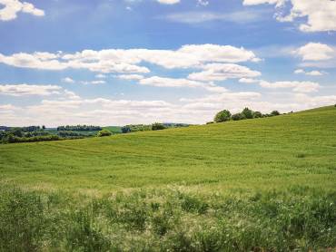 Sommerliche Landschaft mit darüberziehenden Wolken