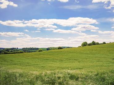 In einer weiten sommerlichen Landschaft liegt eingebettet auf einer Wiese ein Feld aus PV-Modulen.
