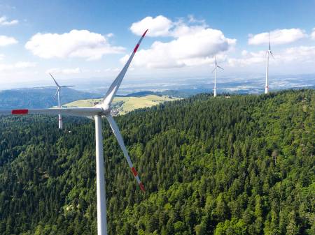 Vier Windkraftanlagen auf einem bewaldeten Berg