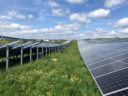 Blühende Blumenwiese zwischen zwei langen Reihen von PV-Modulen