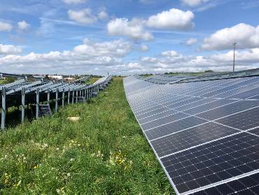 Blühende Blumenwiese zwischen zwei langen Reihen von PV-Modulen