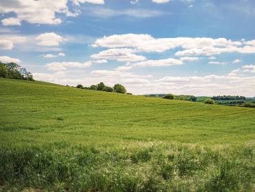 Lecht hügelige Landschaft mit darüberziehenden Wolken