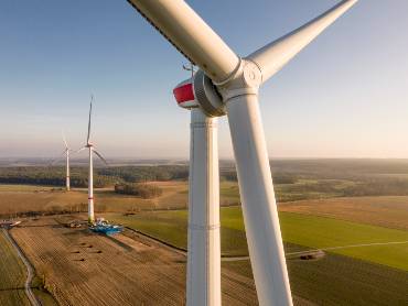 Vier Windkraftanlagen auf einem bewaldeten Berg