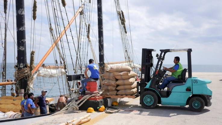Ein Gabelstapler transportiert eine mit Säcken beladene Palette in Richtung des am Ladekai vertauten Segelschiffs, während auf dessen Deck bereits Ladehelfer warten.