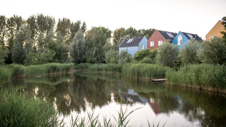 Hinter den schilfbewachsenen Ufern eines kleinen Sees kauern sich Giebelhäuser in kräftigen Farben aneinander, dahinter mehrere Baumreihen als Windschutz.