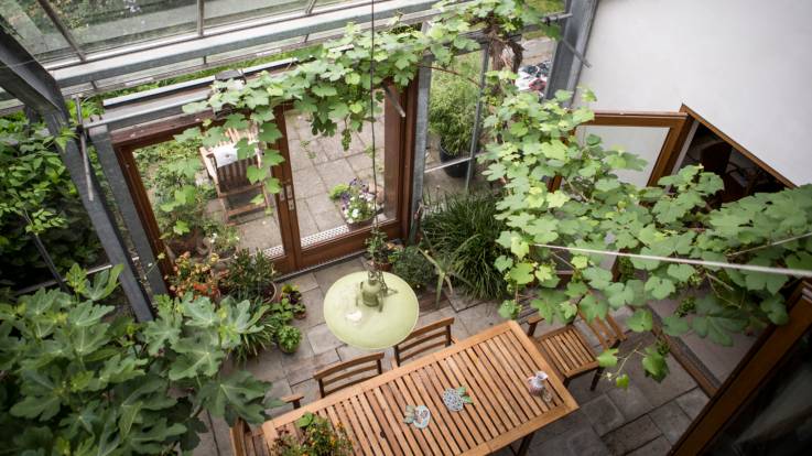 Blick von oben auf einen hölzernen Esstisch, dahinter eine Verandatür. Durch eine durchgehende Glasfassade fällt Tageslicht auf die verschiedenen Pflanzen, die den Innenraum durchranken.