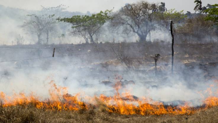 Das Bild zeigt ein Feuer am Boden vor dem Hintergrund einer Steppe mit ein paar Bäumen.