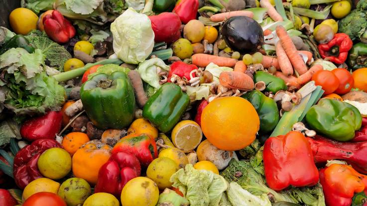 Ein bunter Haufen Obst und Gemüse: während einiges bereits schimmelt, scheint vieles noch genießbar zu sein. 