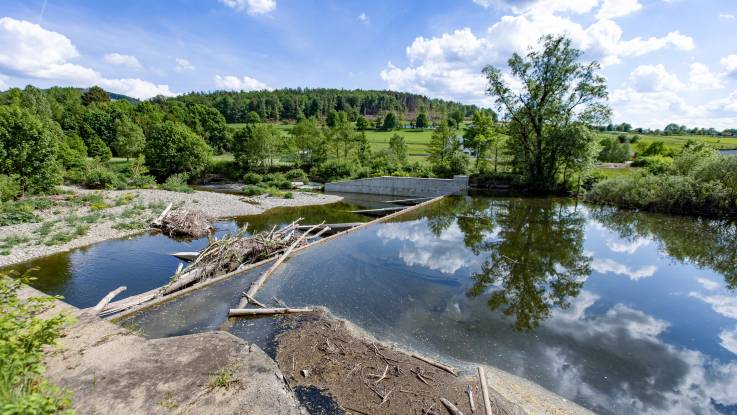 Ein Wasserbauwerk im Freiem: neben einem Wehr, in dem sich Flusswasser staut, verläuft eine Fischtreppe aus Beton.