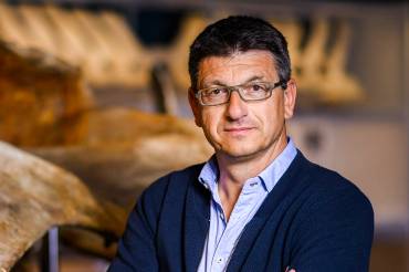 Matthias Glaubrecht fotografiert vor einem große Skelett im Museum.