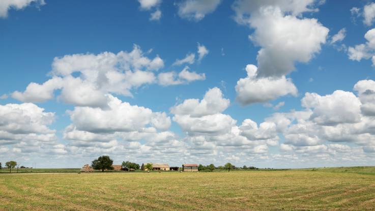 Über einen sonnigen flachen Landschaft ist der Himmel mit Schäfchenwolken betupft. 