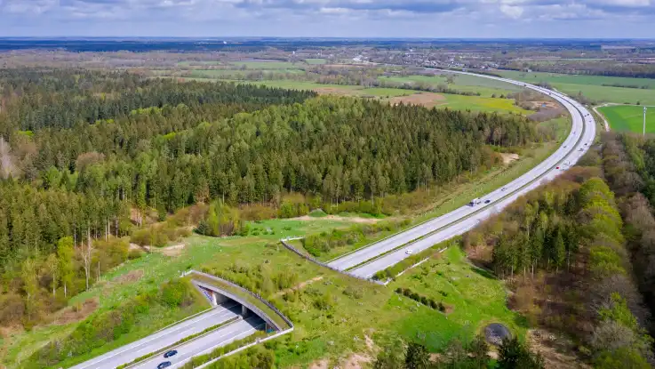 Luftaufnahme: Eine Autobahn zieht sich als graue Schneise durch die Landschaft, nur an einer Stelle wird sie durch eine breite, grüne Querung unterbrochen. 