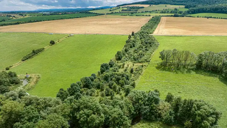 Luftaufnahme: Durch eine von Feldern und Wiesen geprägte Landschaft zieht sich ein etwa zwanzig Meter breiter Waldkorridor.