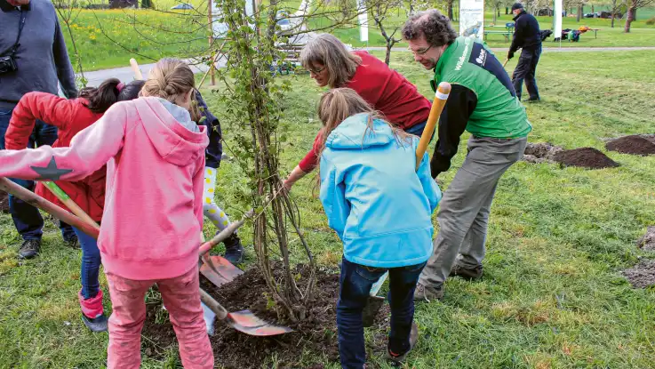 Kinder und Erwachsene schaufeln Erde auf ein frisch ausgehobenes Loch, in das sie einen Baumsetzling gepflanzt haben. 
