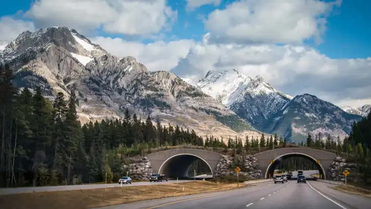 Vor einem kolossalen Bergpanorama verläuft eine Autobahn, die von einer bewaldeten Wildtierquerung überbrückt wird.